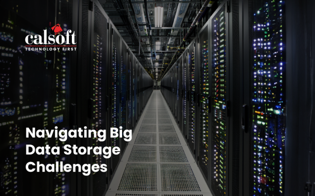 Navigating Big Data Storage Challenges