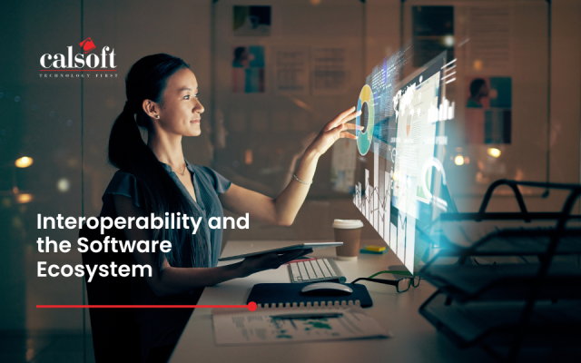 Interoperability and the Software Ecosystem