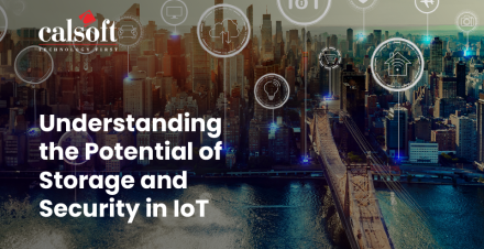 Understanding the Potential of Storage and Security in IoT
