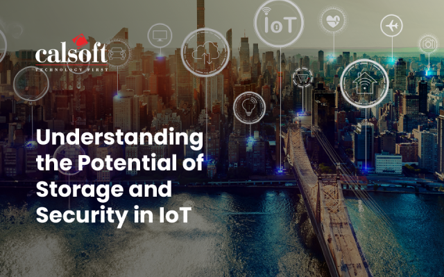 Understanding the Potential of Storage and Security in IoT